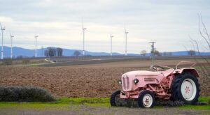 lawn-tractor-640x480-95650172.jpeg