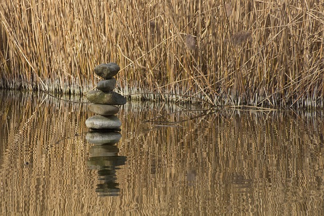life balance