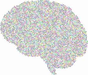 Evolving Minds: Guidance for Growth from Childhood to Adulthood