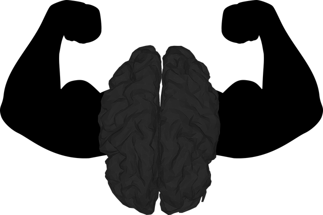 npressfetimg-1115.png