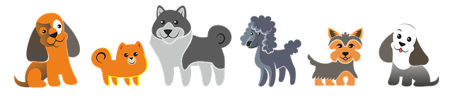 npressfetimg-1122.png