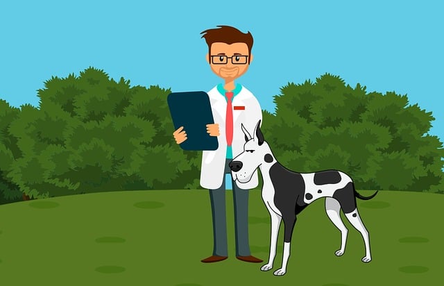 Paw4paws: Expert Grooming for Large Breed Dogs’ Unique Needs