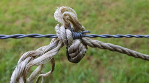 Steeline Bendigo: Reviving Heritage Fencing with Expert Restorations