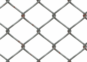 npressfetimg-1489.png