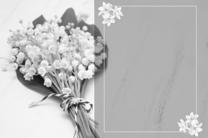 Post-Cremation Memorials & Legal Steps: Navigating Cremation Services