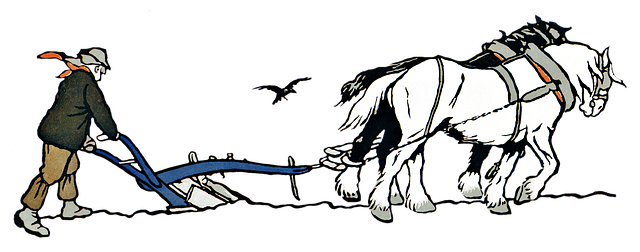 npressfetimg-1533.png