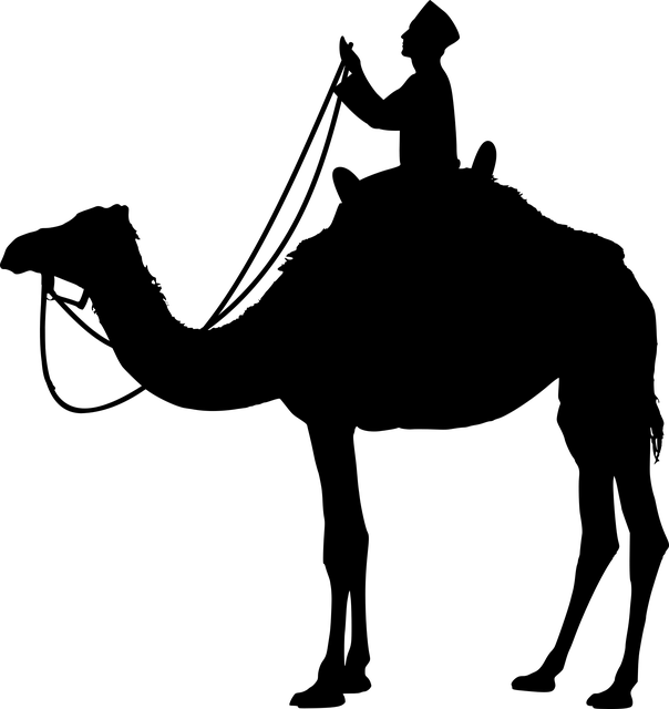 npressfetimg-1558.png