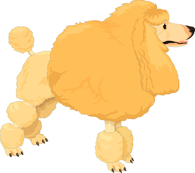 npressfetimg-1642.png