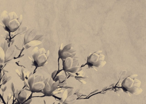 Evolving Funeral Care: Directors’ Role, Industry Trends, Digital Impact
