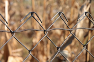 Steeline Roofing Centre Bendigo: Free Expert Fencing Consultations