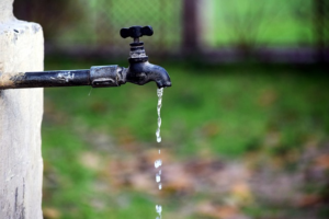 Jones Plumbing Plus: Trusted Brands Transform Wodonga Homes