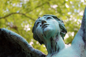Modern Funeral Director: Beyond Burial, Digital Communication & Care Innovations Near You