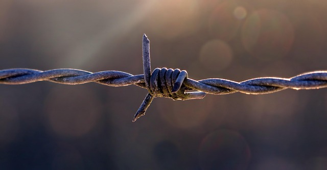 Fencing Solutions for Bendigo Homes: Steeline Bendigo’s Comprehensive Guide