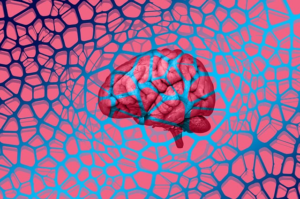 Evolving Psychology: Inclusive Counselling for Diverse Clients