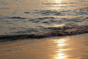 Uncover Gold Coast Chiropractic: Spinal Health Reinvented