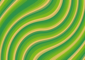 npressfetimg-2479.png