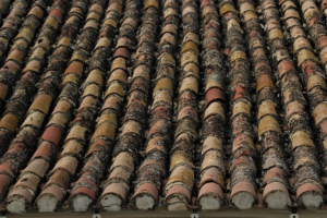 Mastering Colorbond Flashings: Perfect Colors for Bathurst Sheds