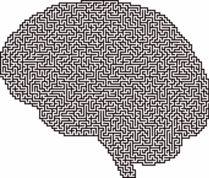 npressfetimg-295.png