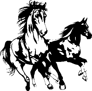 npressfetimg-505.png