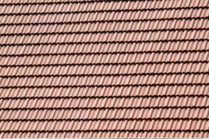 npressfetimg-617.png
