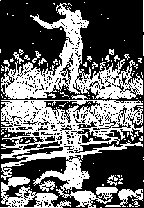 npressfetimg-673.png