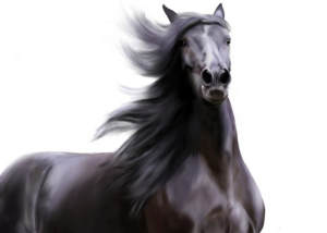 npressfetimg-762.png