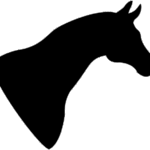 Durable Horse Lead Rope: Features, Care, and Choosing Tips for Longevity