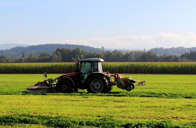 push-mower-640x480-44015313.jpeg