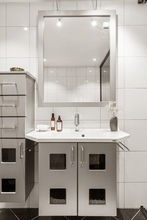 Choice Realty Shepparton: Unlocking Student Rental Insights