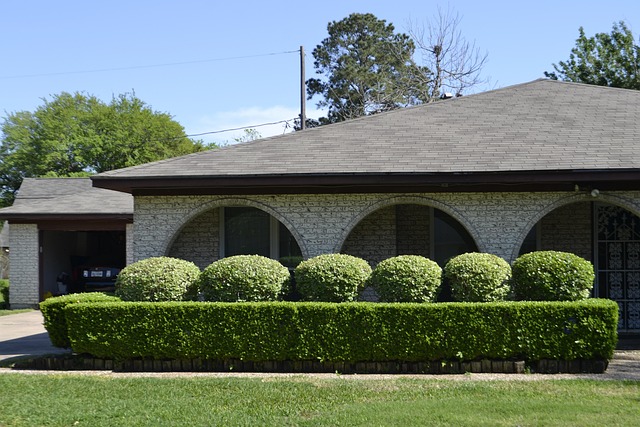 real estate property