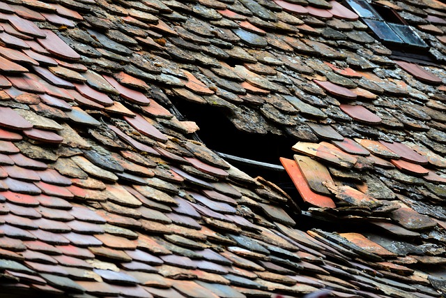 roof