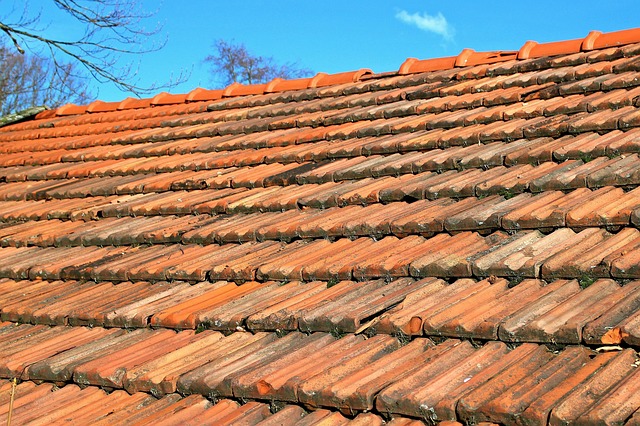 roof