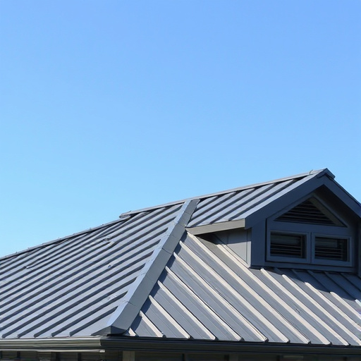roofing, roof, steel roofing