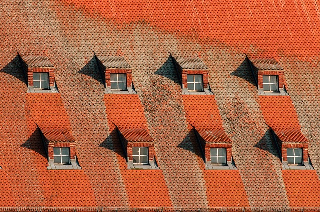 roofing, roof, steel roofing