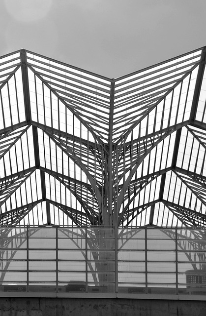 roofing, steel roofing, roof, house roof