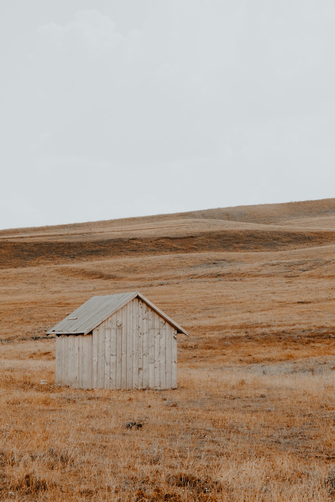 sheds