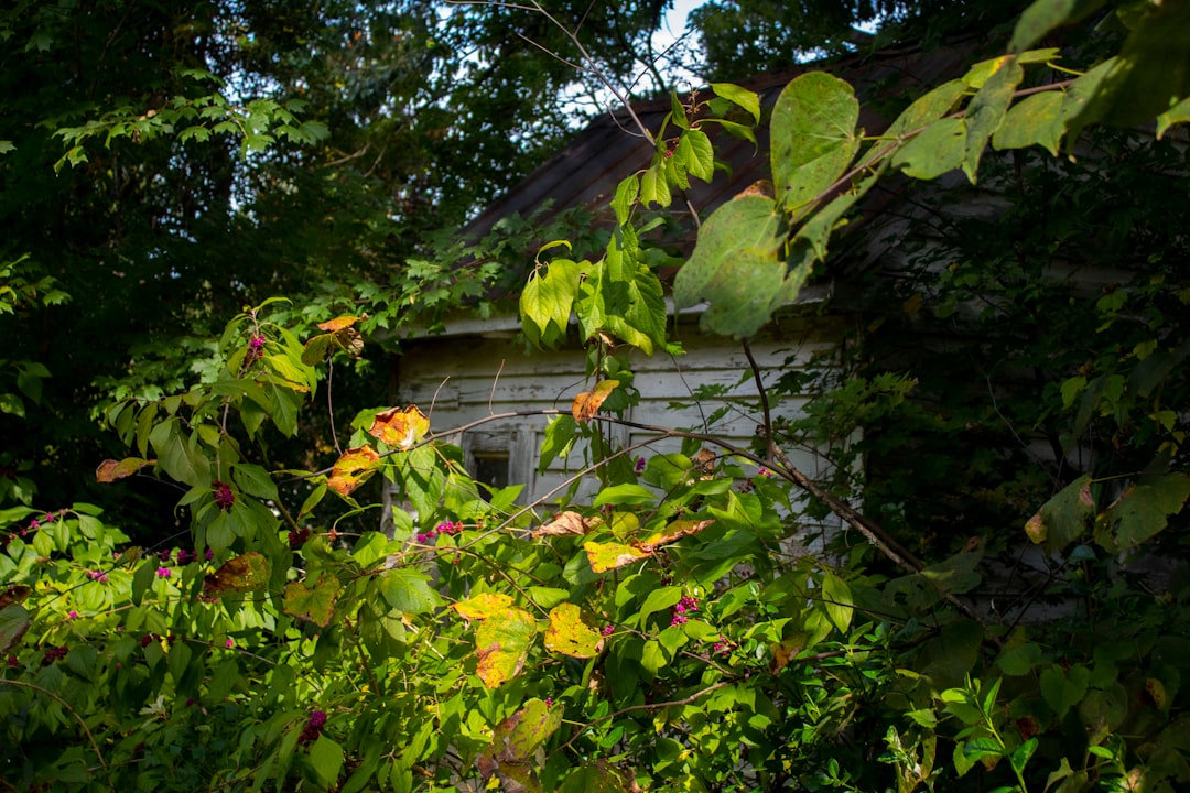 sheds-640x480-3314700.jpeg