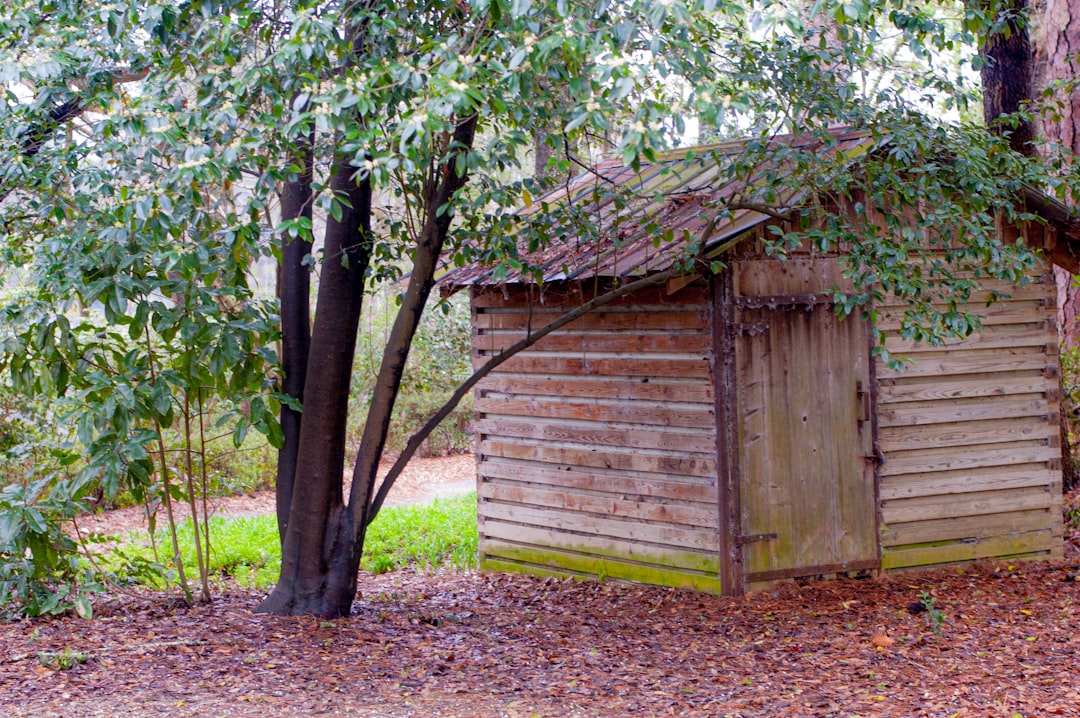 sheds