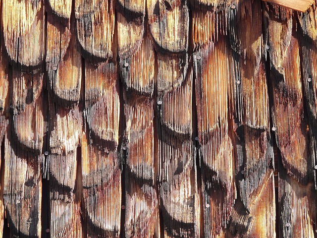 steeline-colorbond-roofing-640x480-39104345.jpeg