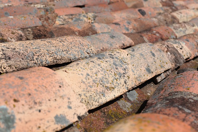 Steeline colorbond roofing