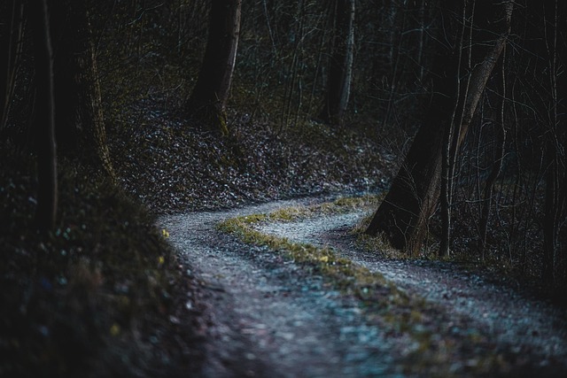 trail-drive-640x480-70164902.jpeg