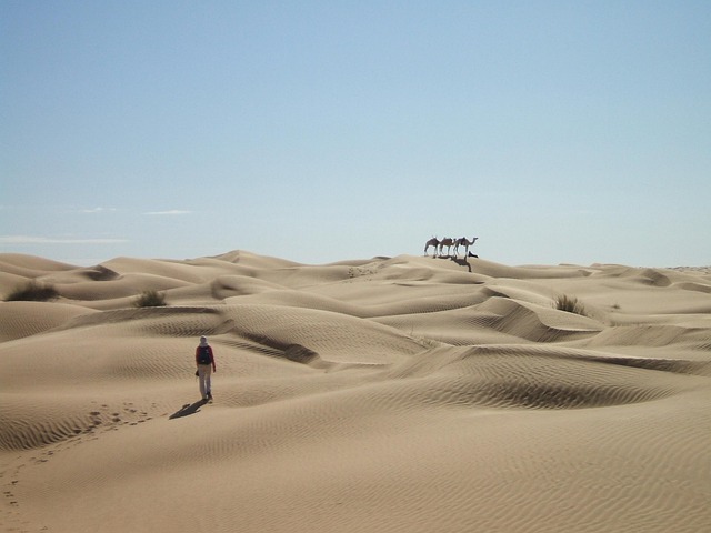 Vacationer caravans