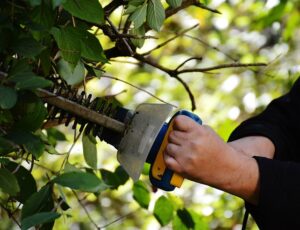 weed-trimmer-640x480-53287605.jpeg