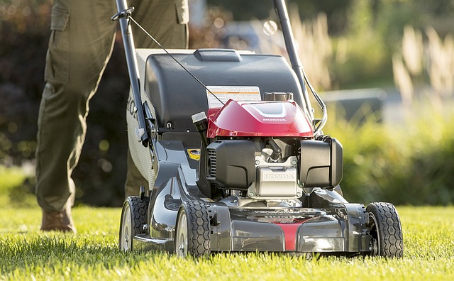 yamaha motorcycles, lawn mower, motorcycle