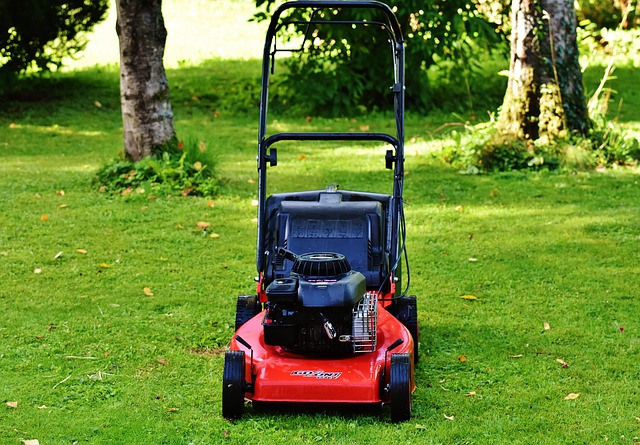 yamaha motorcycles, lawn mower, motorcycle