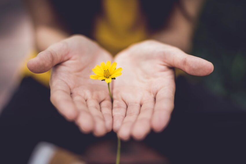 caring-640x480-75591790.jpeg