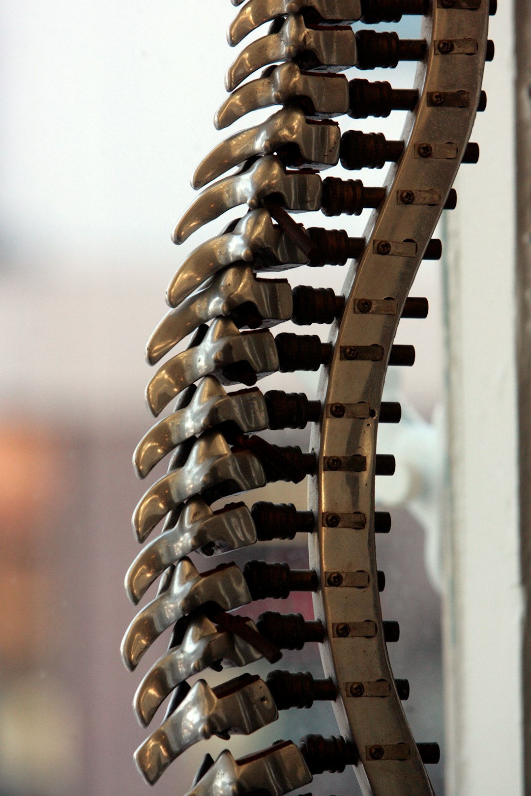 chiropractor