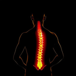 chiropractor-gold-coast-640x480-15541889.jpeg