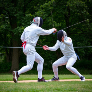 fencing-640x480-5868095.jpeg