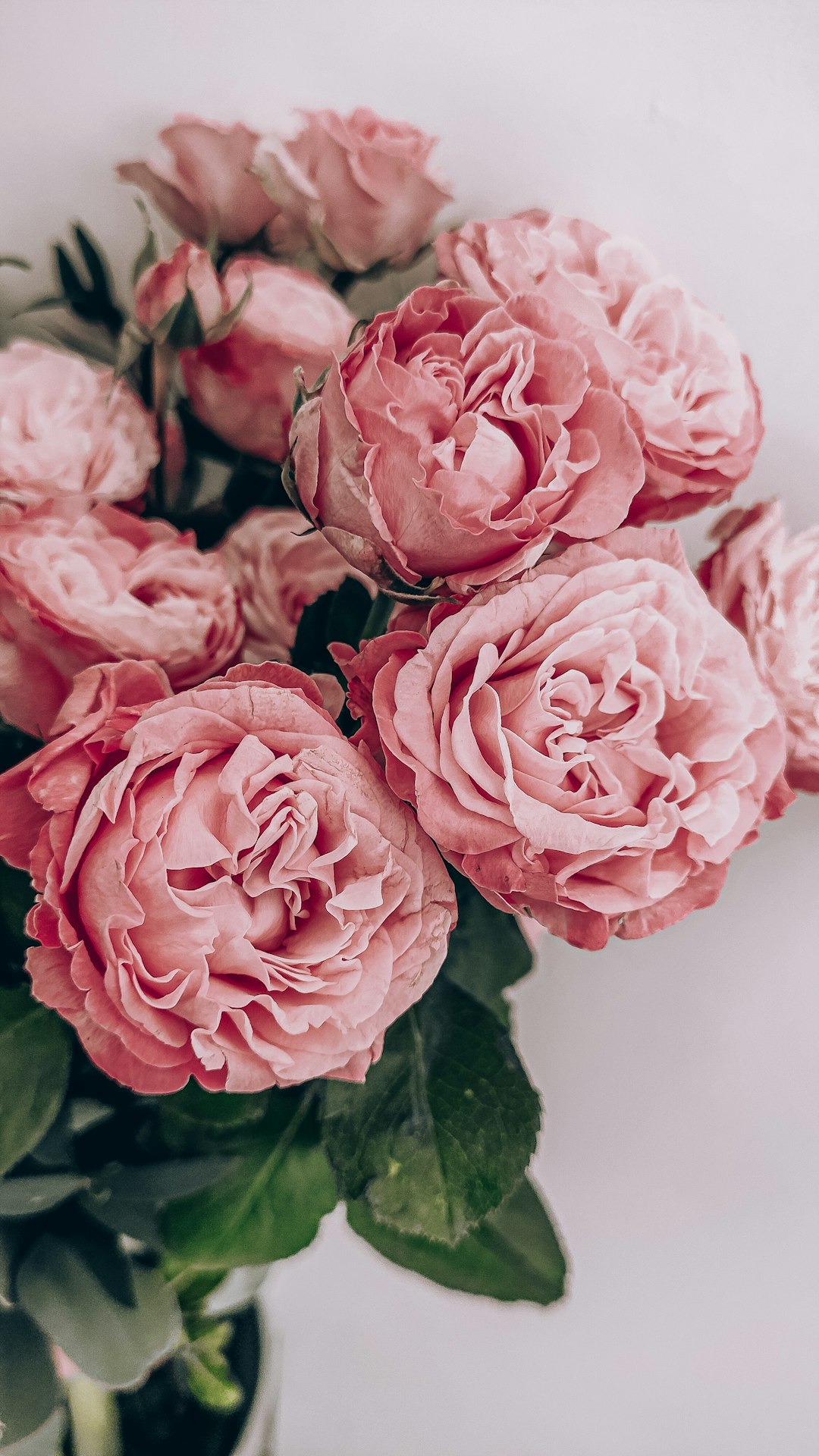 flowers-640x480-70883976.jpeg